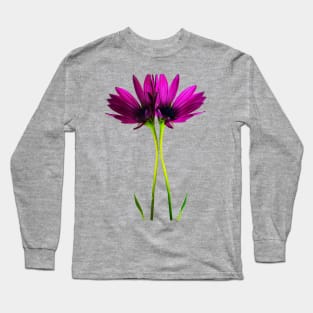 Pink Daisy Flowers Long Sleeve T-Shirt